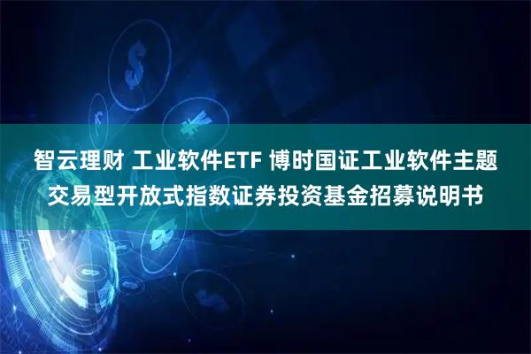 智云理财 工业软件ETF 博时国证工业软件主题交易型开放式指数证券投资基金招募说明书