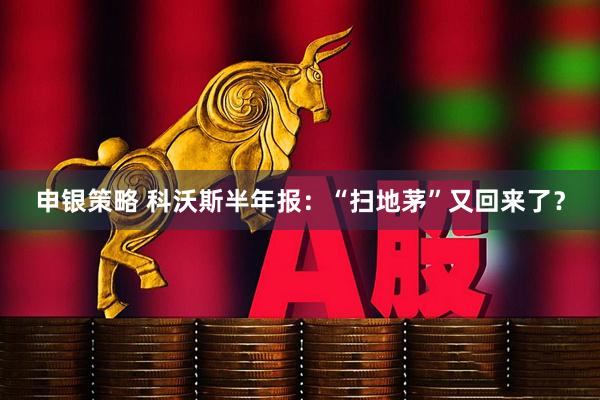 申银策略 科沃斯半年报：“扫地茅”又回来了？