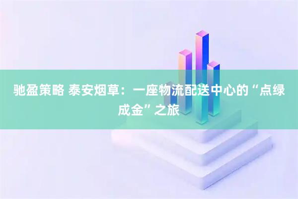 驰盈策略 泰安烟草：一座物流配送中心的“点绿成金”之旅