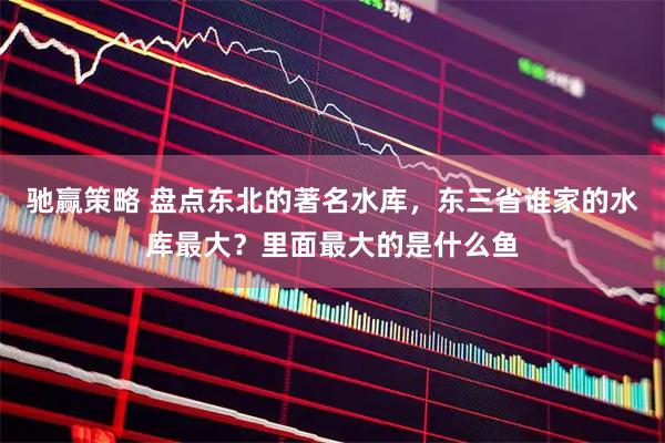 驰赢策略 盘点东北的著名水库，东三省谁家的水库最大？里面最大的是什么鱼
